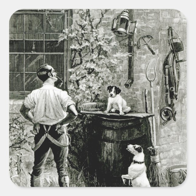 Das Überleben des Fittesten Quadratischer Aufkleber (Vorderseite)