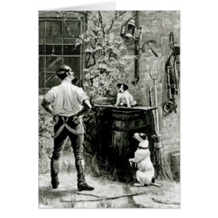 Das Überleben vom geeignetsten