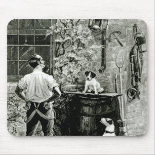 Das Überleben vom geeignetsten Mousepad