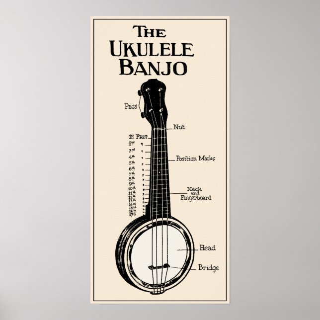 Das Ukulele Banjo Poster (Vorne)