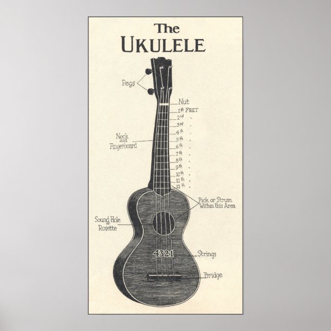 Das Ukulele Poster (Vorne)