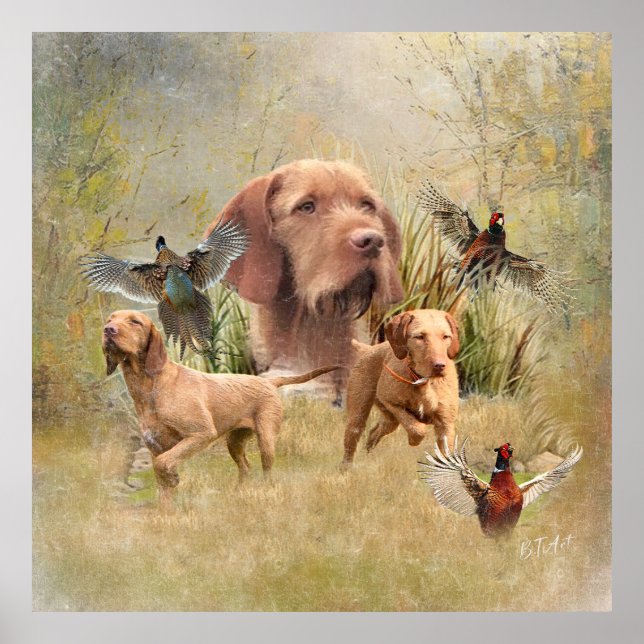 Das ungarische Drahthaar Vizsla Poster (Vorne)