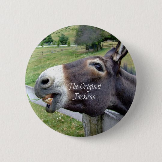 Das Ursprunglicher Esel Lustige Esel Maultier Vieh Button Zazzle At