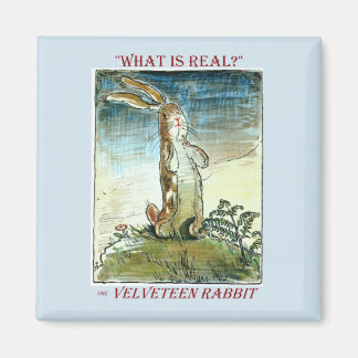 Das Velveteen Rabbit Magnet