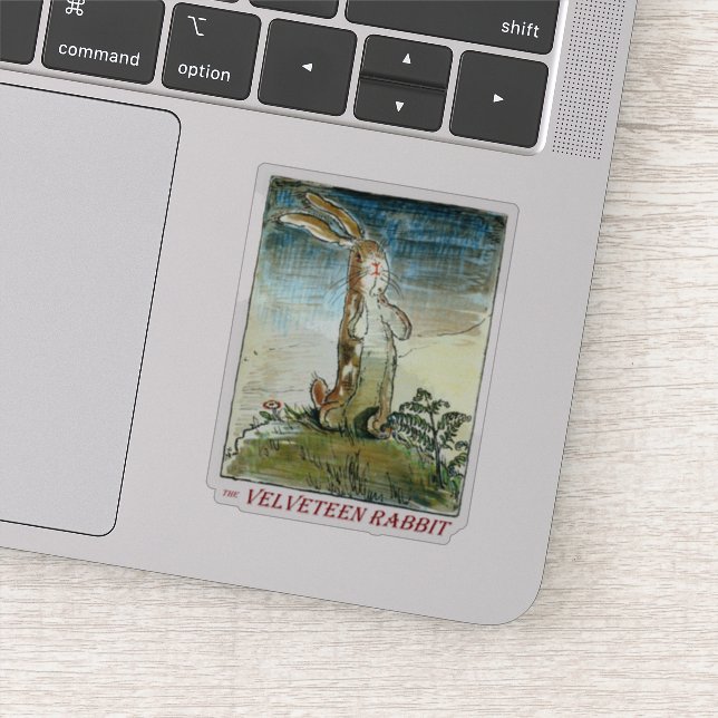 Das Velveteen Rabbit von Margery Williams Aufkleber (Detail)