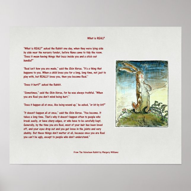 Das Velveteen Rabbit - Was ist real? Poster (Vorne)