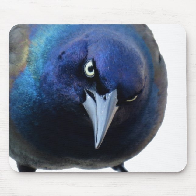 Das verärgerte Grackle Mousepad (Vorne)