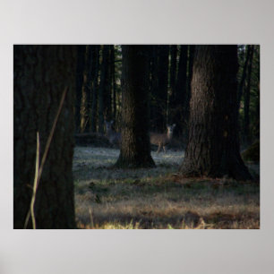 Das versteckte Hirsch Poster