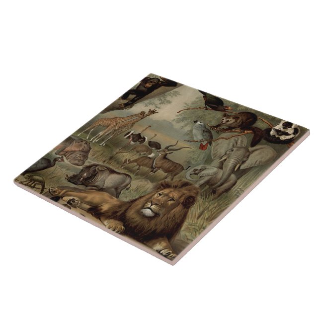 Das Vintage Dschungelkachel Fliese (Seite)