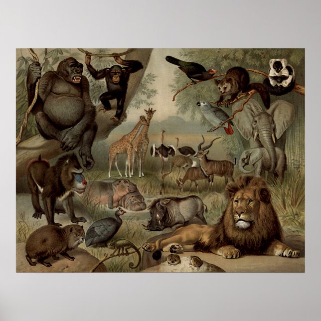 Das Vintage Jungle-Poster Poster (Vorne)