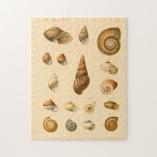 Das Vintage-Molluske-Muscheln-Puzzle Puzzle