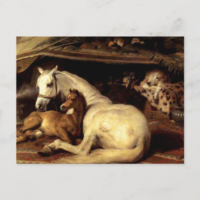 Das Vintage Pferd Postkarte (Vorderseite)