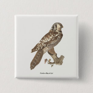 Das Vogelbild der Nordfalke (Surnia ulula) Button