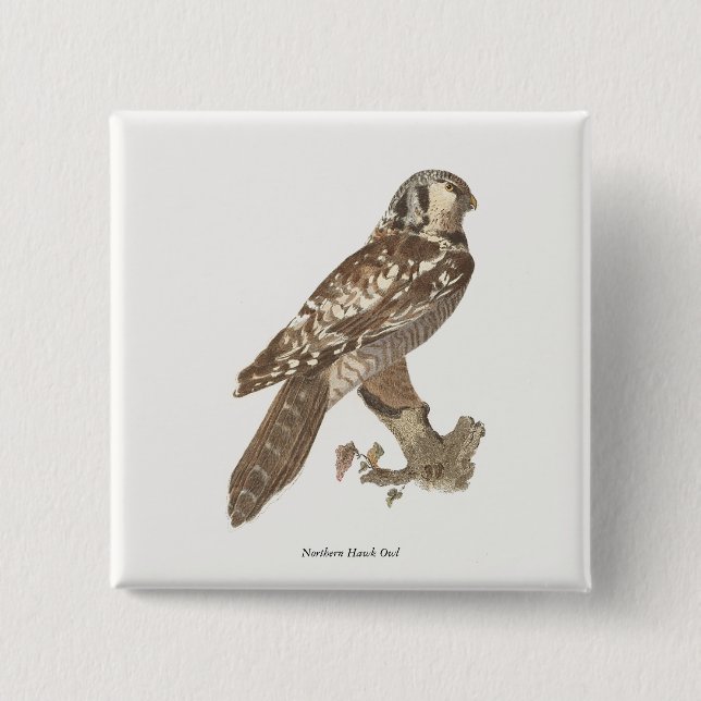 Das Vogelbild der Nordfalke (Surnia ulula) Button (Vorderseite)