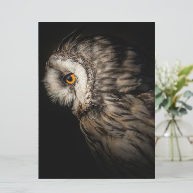 Das wahnsinnige Auge | Owl Lovers Gift (Stehend Vorderseite)