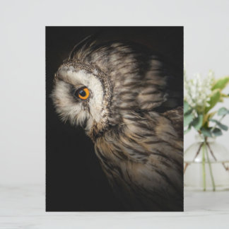 Das wahnsinnige Auge | Owl Lovers Gift