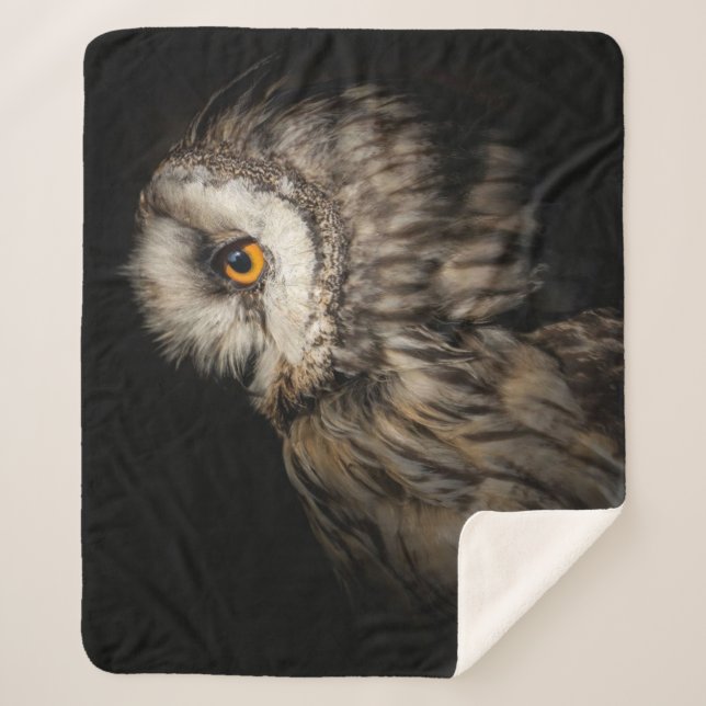 Das wahnsinnige Auge | Owl Lovers Gift Sherpadecke (Vorderseite)