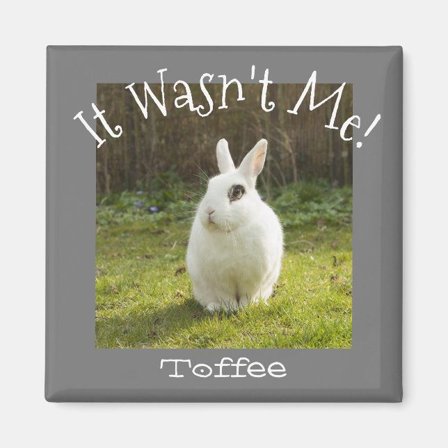Das war nicht ich! Custom Pet Foto Hund Bunny Cat  Magnet (Vorne)