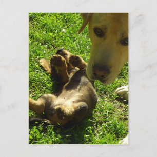 Das war nicht ich postkarte