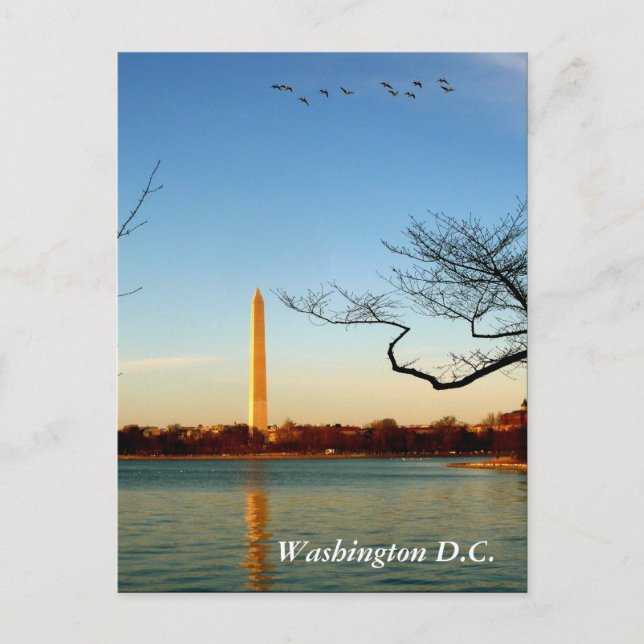 Das Washington-Denkmal Postkarte (Vorderseite)
