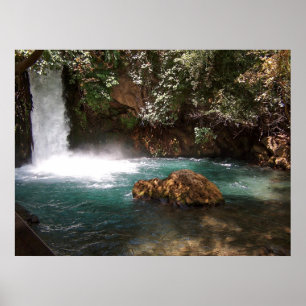 Das Wasser Chakra Poster