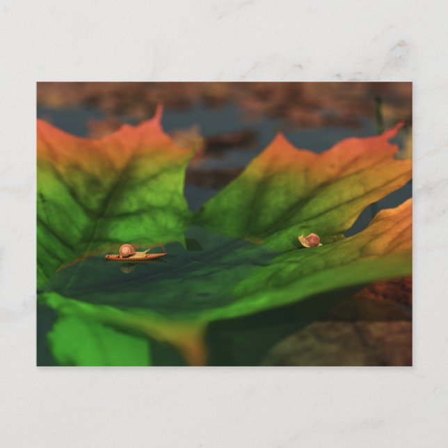 Das Wasser ist eine große Postkarte (Vorderseite)