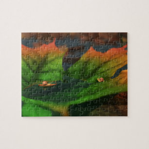 Das Wasser ist riesig Puzzle