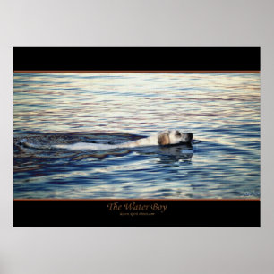 Das WASSERKIND-Poster Poster