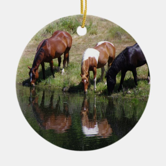 Das Wasserloch Keramik Ornament (Vorne)