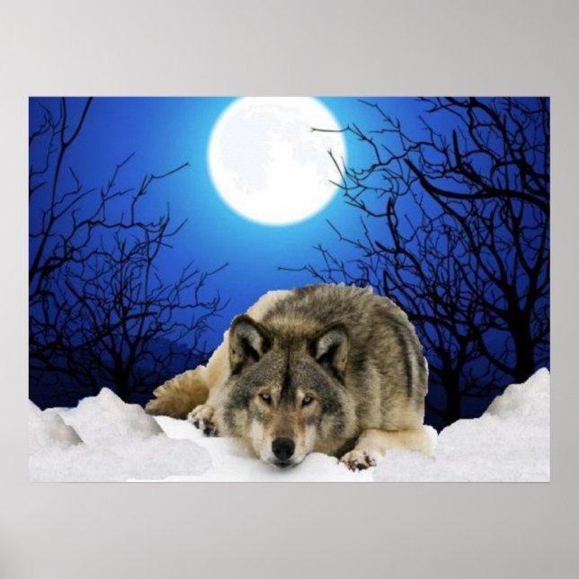Das Watcher Wolf Poster (Vorne)