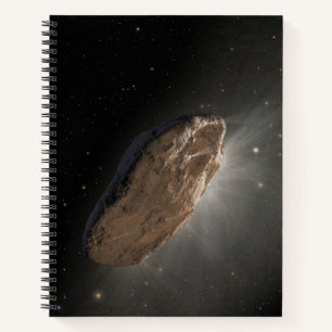 Das Wayward Interstellar Objekt Oumuamua. Notizbuch
