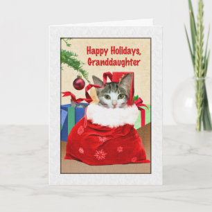 Das Weihnachten der Enkelin, Katze unter Baum