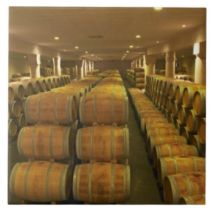Das Weingut, Fassreifekeller - Chateau Baron Fliese