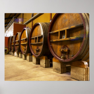 Das Weinkeller-Weingut mit großen alten Holzfässer Poster