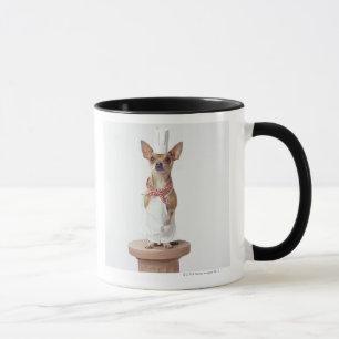 Das Weiß des Chihuahuahundetragenden Koch, Tasse