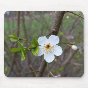 Das Weiß des Frühlings Mousepad