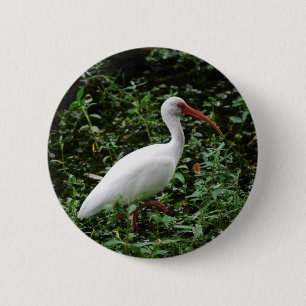 Das weiße IBIS… Button