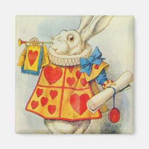 Das weiße Kaninchen Magnet
