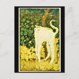 Das weiße Kitten Postkarte