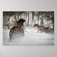 Das Winter Chase Horster