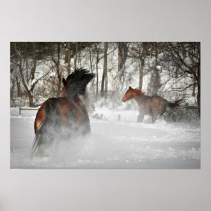 Das Winter Chase Horster Poster