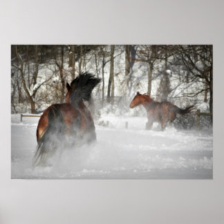 Das Winter Chase Horster Poster