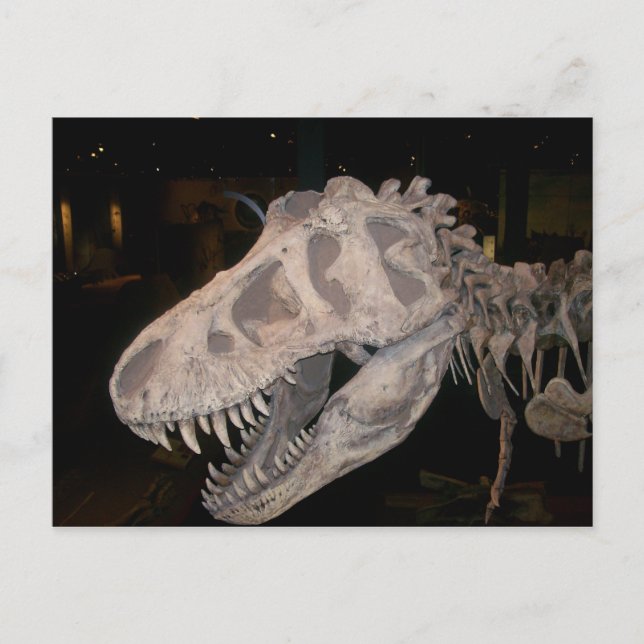 Das wird dich essen! postkarte (Vorderseite)