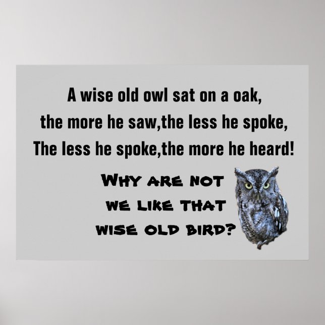 DAS WISE OLD OWL Poster (Vorne)