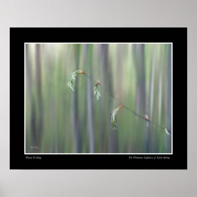 Das Wondrous Lightness of Early Spring - Poster (Vorne)