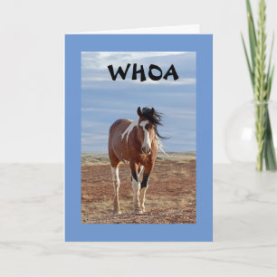 DAS WORT IST: SIE SIND **8** KARTE