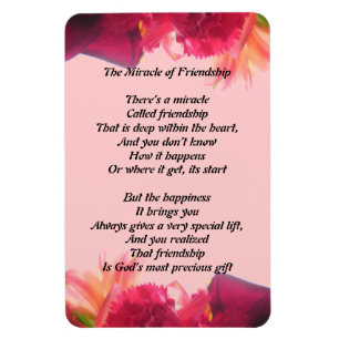 Das Wunder des Freundschafts-Magneten Magnet