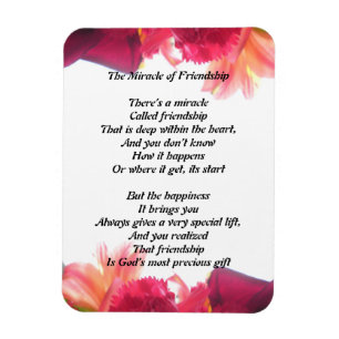 Das Wunder des Freundschaftsmagneten Magnet