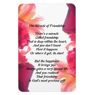 Das Wunder des Freundschaftsmagneten Magnet