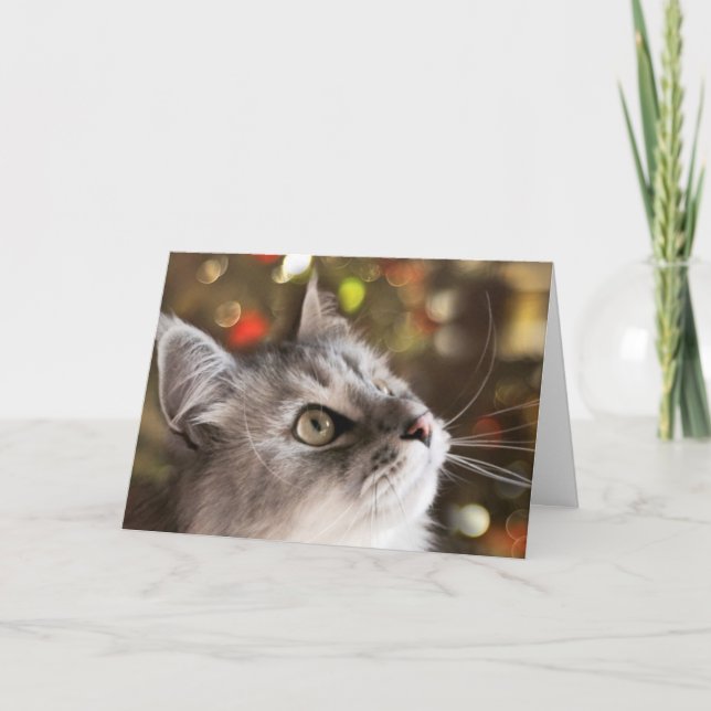 Das Wunder von Weihnachten (Karte) (Vorderseite)